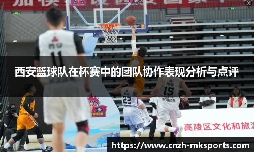 西安篮球队在杯赛中的团队协作表现分析与点评